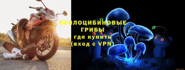 дурь Горняк