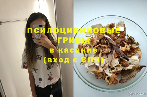 дурь Горняк