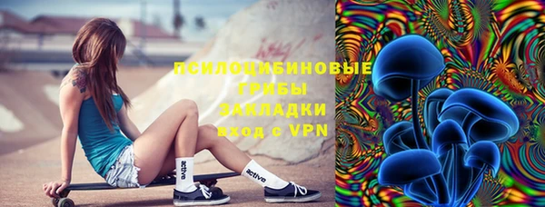 дурь Горняк